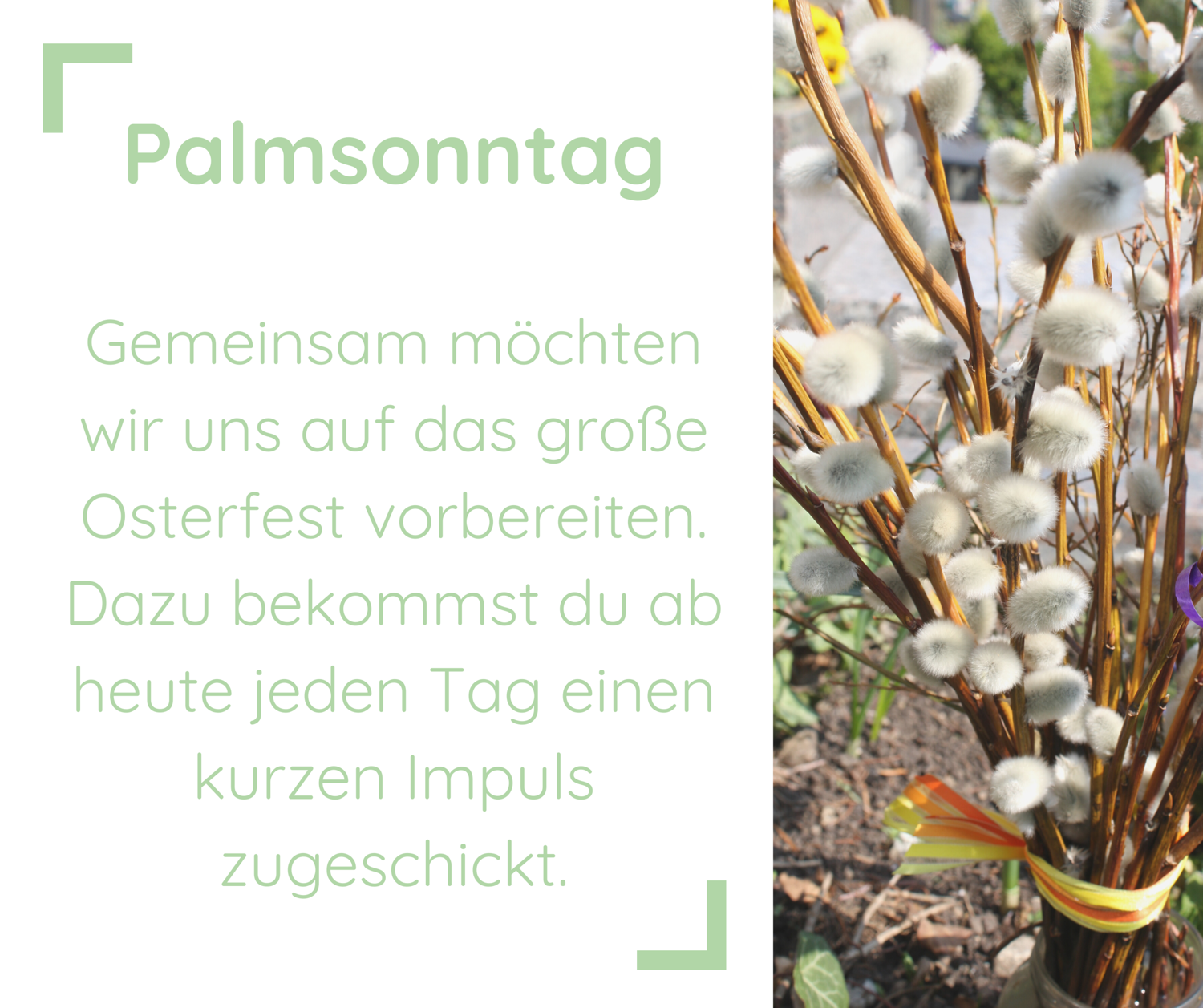 Gemeinsam möchten wir uns auf das große Osterfest vorbereiten. Dazu bekommst du ab heute jeden Tag einen kurzen Impuls zugeschickt. | Daneben ist ein Palmbusch zu sehen