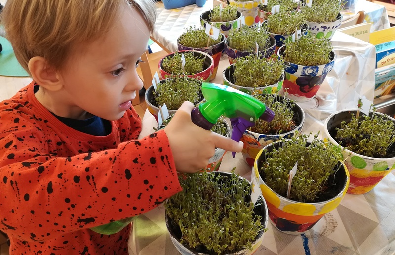 Wir pflegten unsere Osterkresse. / Pfarrkindergarten Graz-Graben