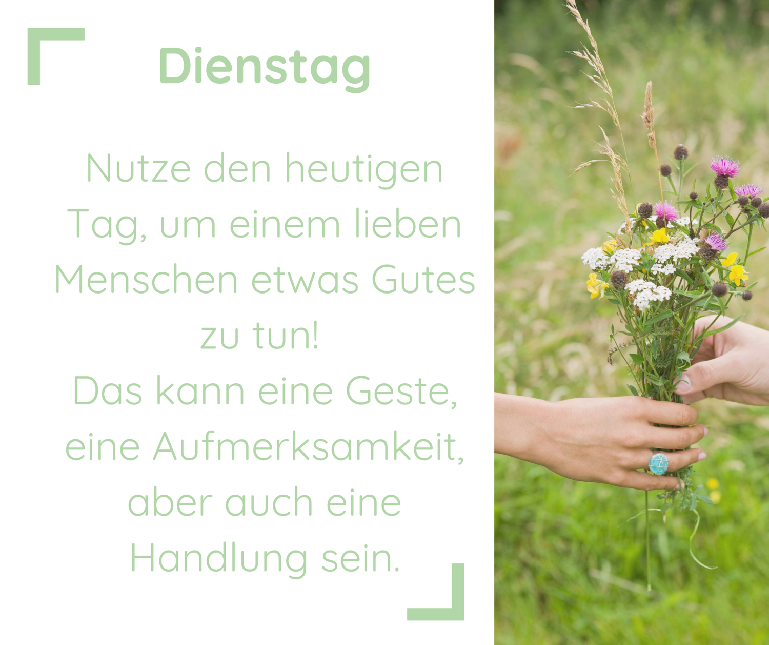 Nutze den heutigen Tag, um einem lieben Menschen etwas Gutes zu tun!  Das kann eine Geste, eine Aufmerksamkeit, aber auch eine Handlung sein. | daneben sind zwei Hände zu sehen. Die eine Hand gibt der anderen Hand einen Blumenstrauß.