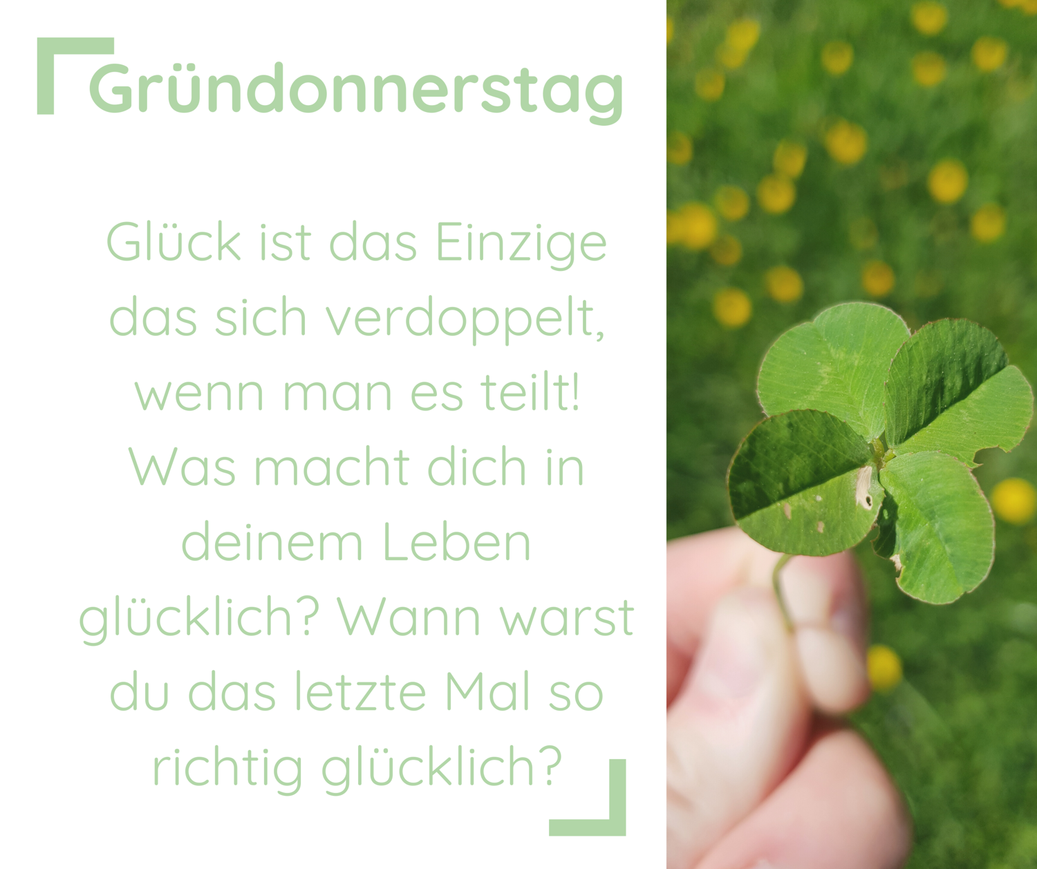 Glück ist das Einzige das sich verdoppelt, wenn man es teilt! Was macht dich in deinem Leben glücklich? Wann warst du das letzte Mal so richtig glücklich?|daneben ist ein vierblättriges Kleeblatt