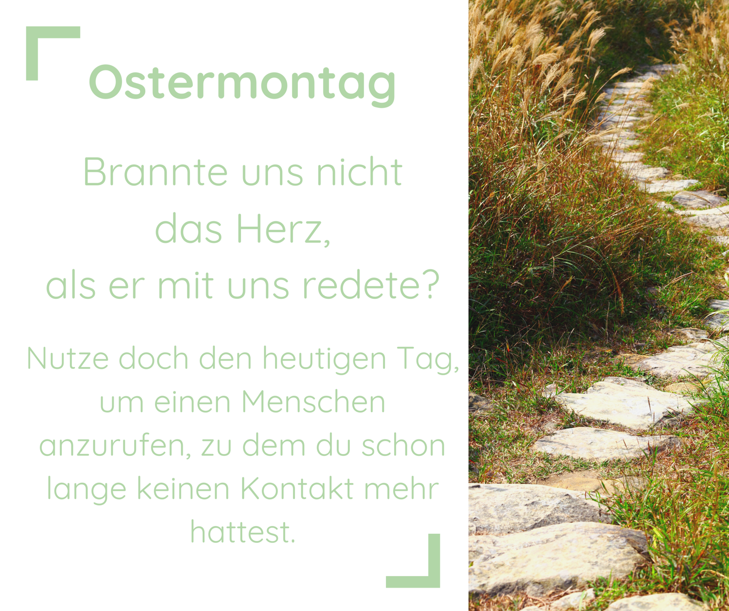 Brannte uns nicht das Herz, als er mit uns redete? / Nutze doch den heutigen Tag, um einen Menschen anzurufen, zu dem du schon lange keinen Kontakt mehr hattest. | Daneben ist ein Steinpfad auf einer Wiese zu sehen.