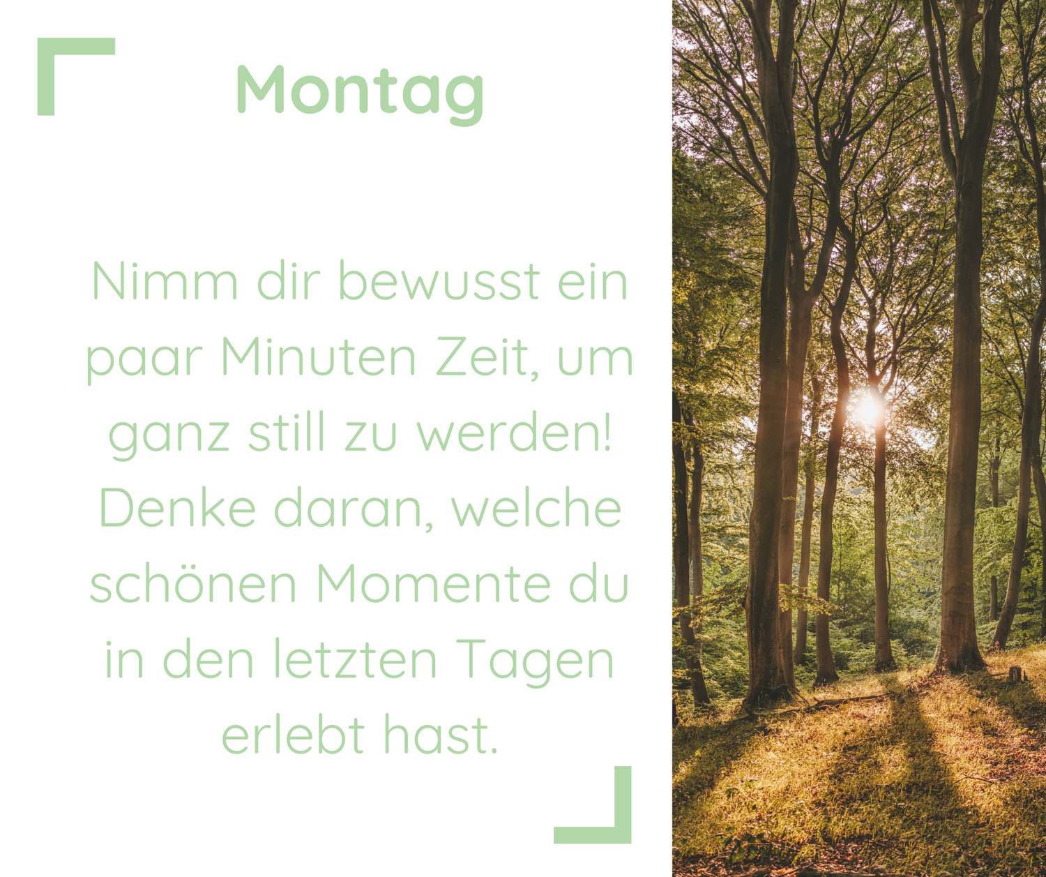 Nimm dir bewusst ein paar Minuten Zeit, um ganz still zu werden! Denke daran, welche schönen Momente du in den letzten Tagen erlebt hast. | Daneben ist eine Waldlichtung zu sehen.