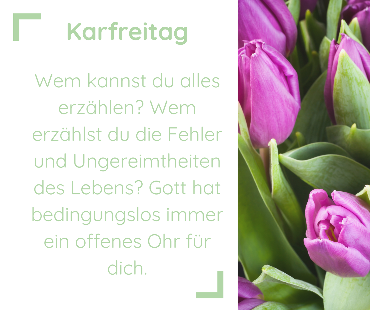 Wem kannst du alles erzählen? Wem erzählst du die Fehler und Ungereimtheiten des Lebens? Gott hat bedingungslos immer ein offenes Ohr für dich. | daneben sind violette Tulpen zu sehen.